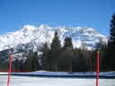 S8001577.jpg